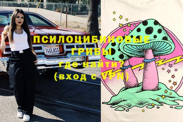 метадон Арсеньев