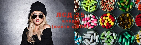 прущие крисы Аркадак